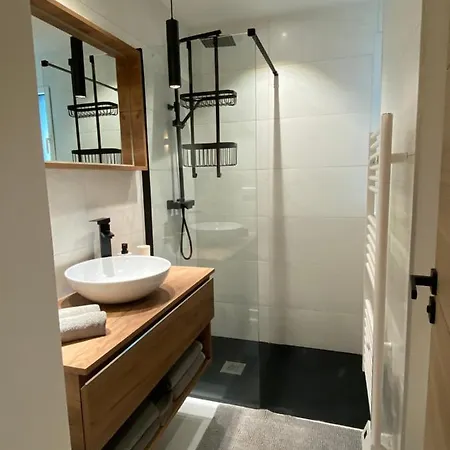 De Charme La Lionne-piscine-12 Pers *